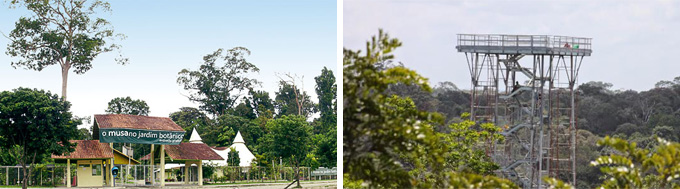 Jardim Botânico Manaus